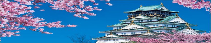 ���{��t��p����s�n�o�C���[�W�B