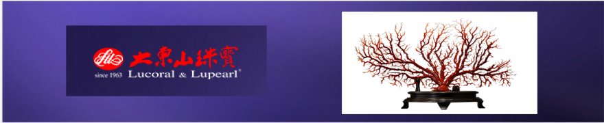 TCCIC�r�W�l�X�}�b�`���O�Ɩ�