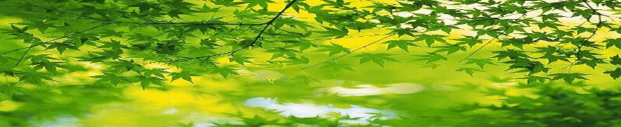 TCCIC�r�W�l�X�}�b�`���O�Ɩ�