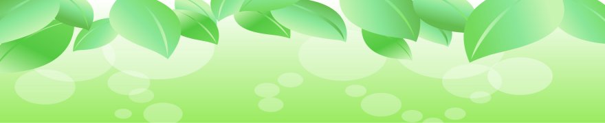 ���{��t��p����̃r�W�l�X�}�b�`���O�B