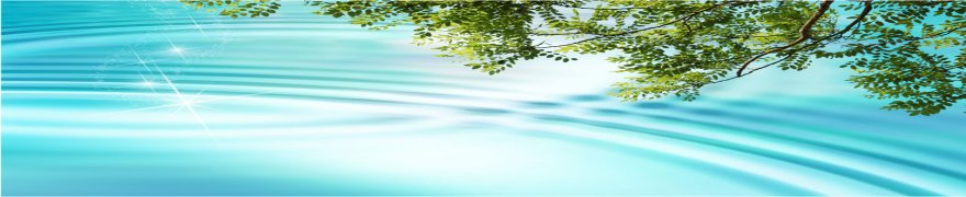 TCCIC�r�W�l�X�}�b�`���O�Ɩ�