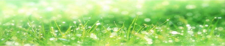 TCCIC�r�W�l�X�}�b�`���O�Ɩ�